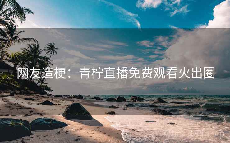 网友造梗：青柠直播免费观看火出圈