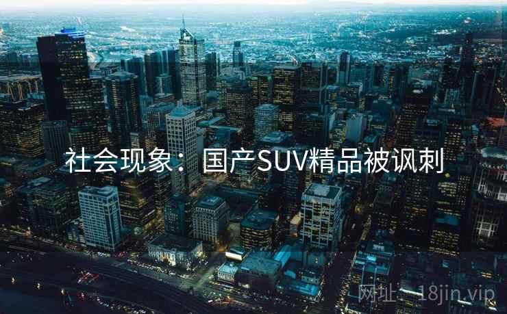 社会现象：国产SUV精品被讽刺