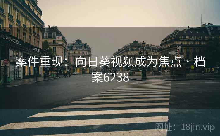 案件重现:向日葵视频成为焦点 · 档案6238
