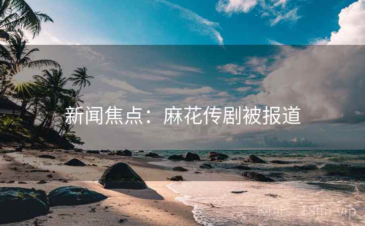 新闻焦点:麻花传剧被报道