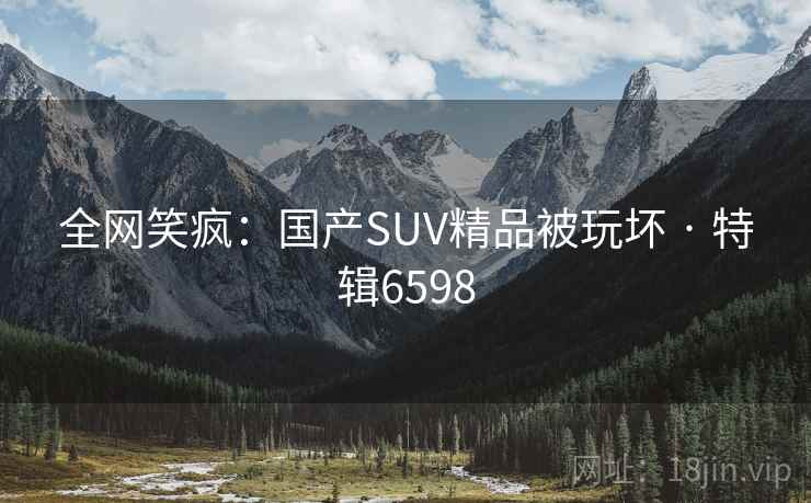 全网笑疯:国产SUV精品被玩坏 · 特辑6598